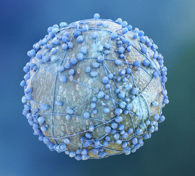 Pancreatic Cancer Genetic Marker