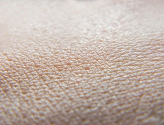 Human skin macro photo