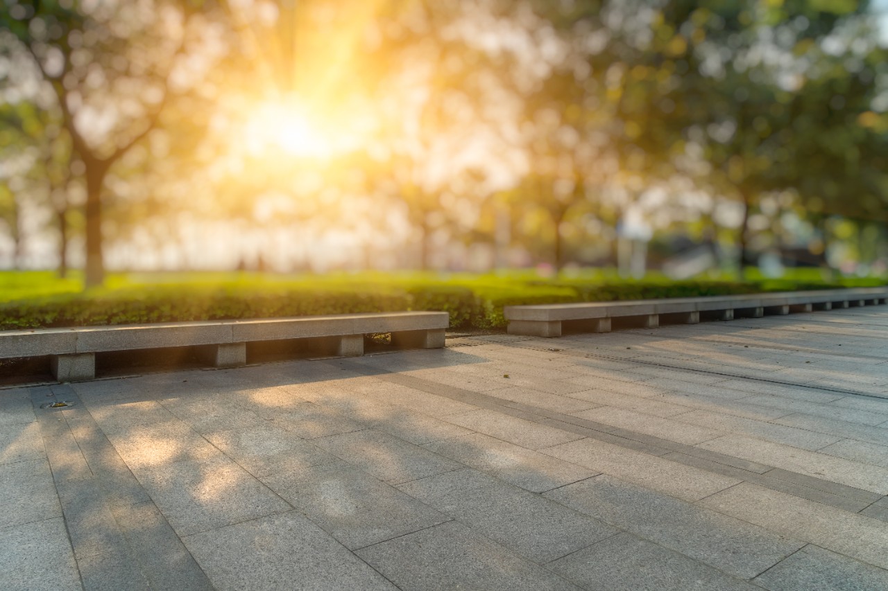 City, Public Park, Flowerbed, Ornamental Garden, Cityscape