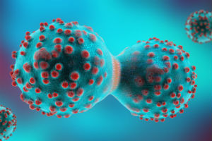 cancer cell dividing