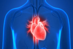 heart image