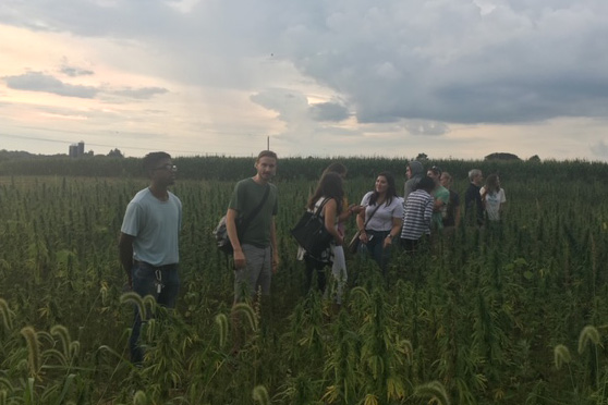 Students in field 