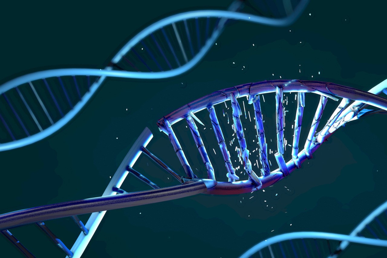 Damaged DNA Strand