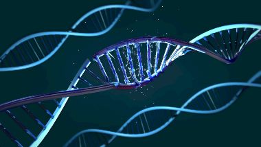 damaged DNA strand