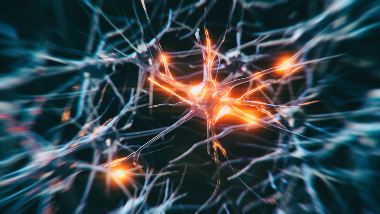 inflammation in neuron