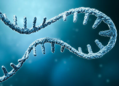RNA molecule, artistic represenation