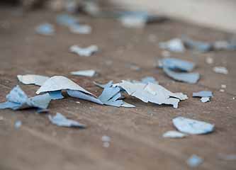 Paint chips on old hardwood floor