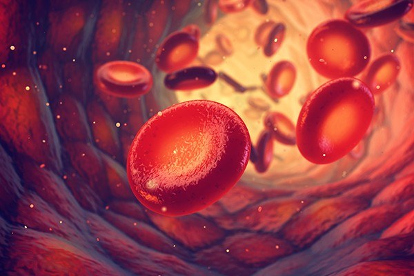 Red blood cells carry oxygen to all body tissues, Erythrocytes background, 3d illustration