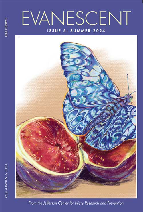 Cover art of Evanescent 5