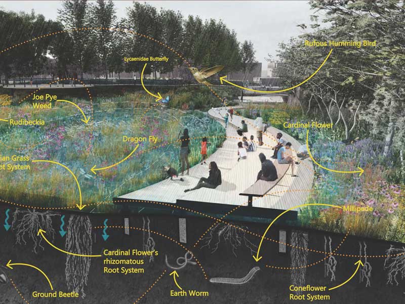 sustainable environments student work Ben Nardi