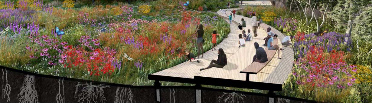 Bachelor of Landscape Architecture conceptual drawing of garden