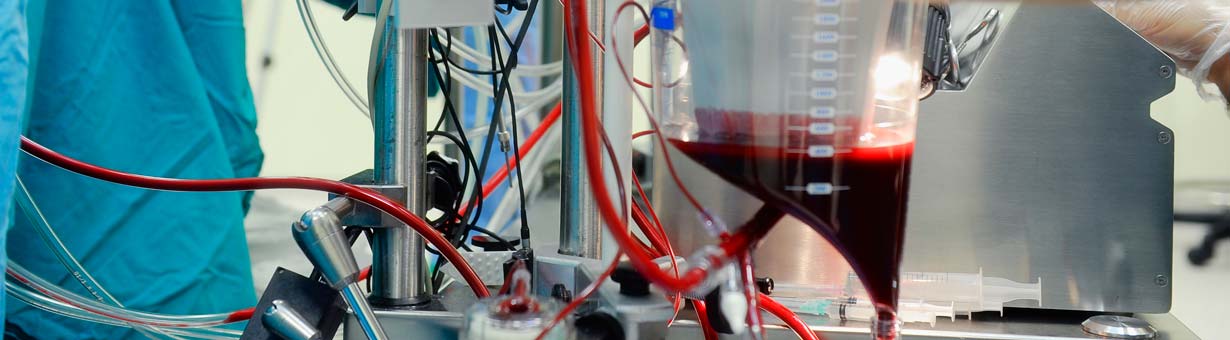 Students studying MS in Cardiovascular Perfusion