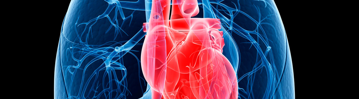 cardiovascular-pulmonary-sciences-hero