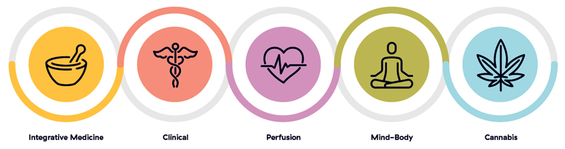 IEHP characteristics shown via icons