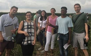 Researchers in a hemp field