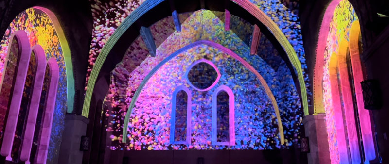 Animation during the 2024 Immersive Experience