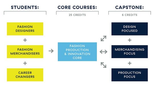 Curriculum
