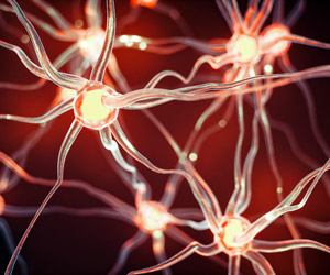 Neuroscience