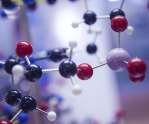 Molecular Physiology & Translational Medicine