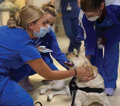 Thomas Jefferson University College of Nursing students with a dog.