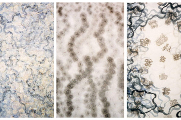 Artwork of protein structures