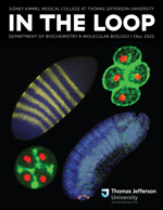 In the Loop Fall 2025