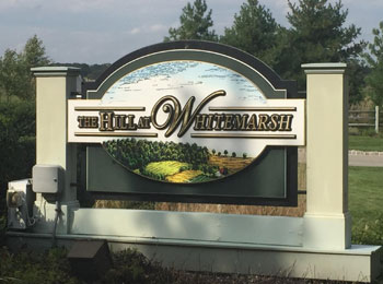 White Marsh