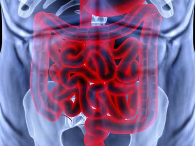 Division of Gastroenterology & Hepatology