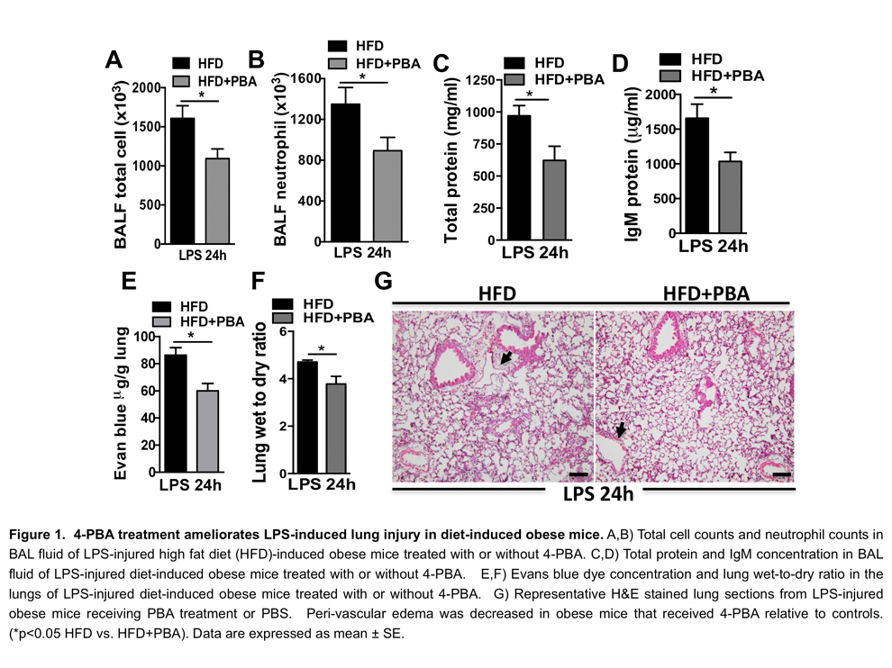 LPS Model of Sepsis