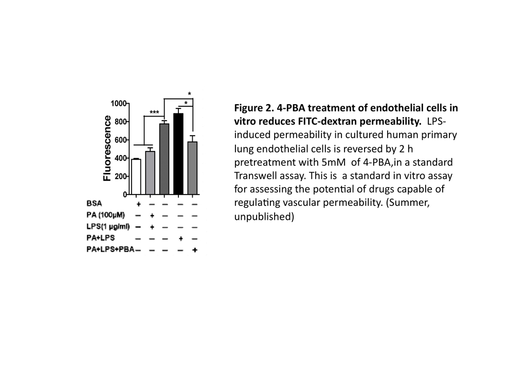 Acute Lung Injury (ALI)/Acute Respiratory Distress Syndrome (ARDS) model 2
