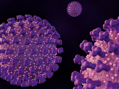 3d rendering of Echovirus. The name is derived from "enteric cytopathic human orphan virus"