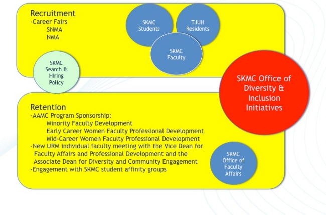Faculty Diversity