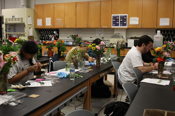 Creativity Core Curriculum: Name Game Workshop