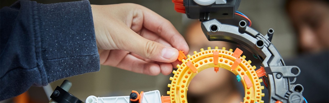 stem student project