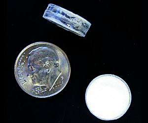 Close-up image of implants next to a dime for size comparison. The implants are slightly smaller in diameter than the dime.