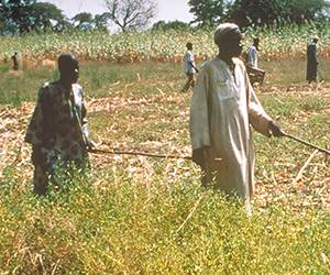 People in village