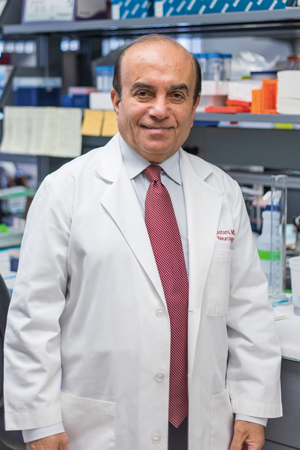 Abdolmohamad Rostami, MD, PhD