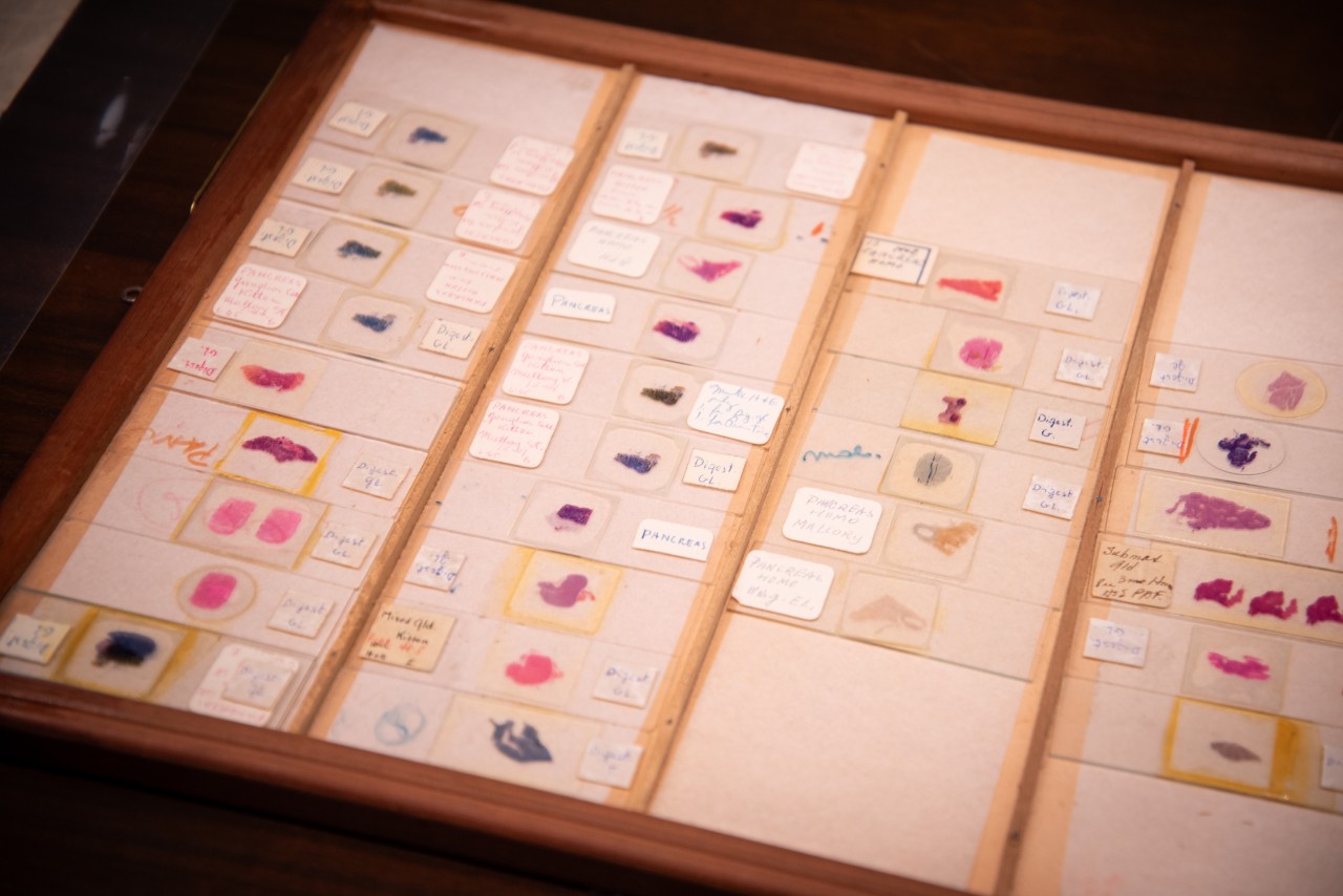 Archives Open House