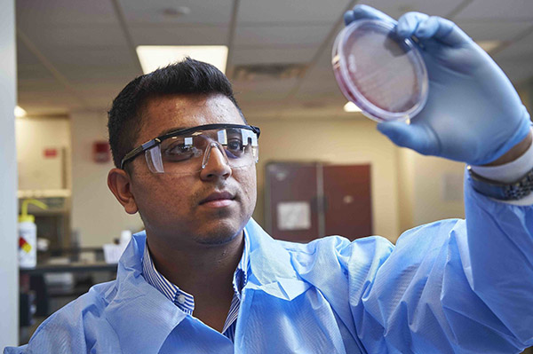 Working in a medical laboratory sciences and biotechnology lab