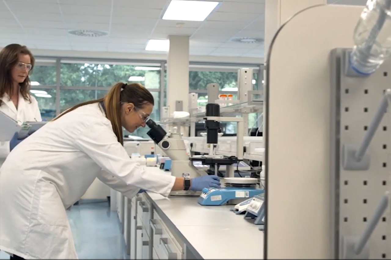 Students study content under a microscope in the lab