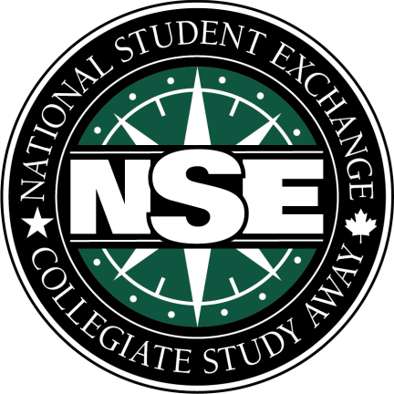 NSE logo