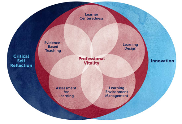 Domains of Educational Practice