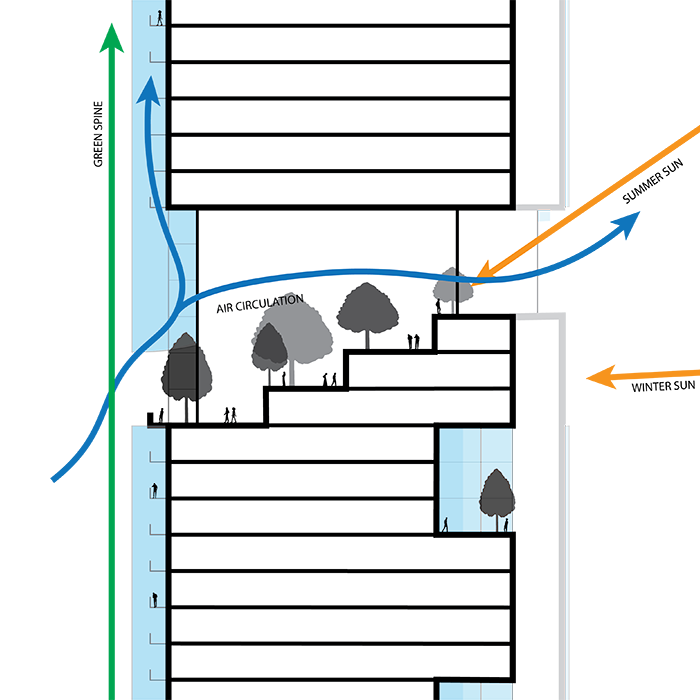 East Vine Development Designs