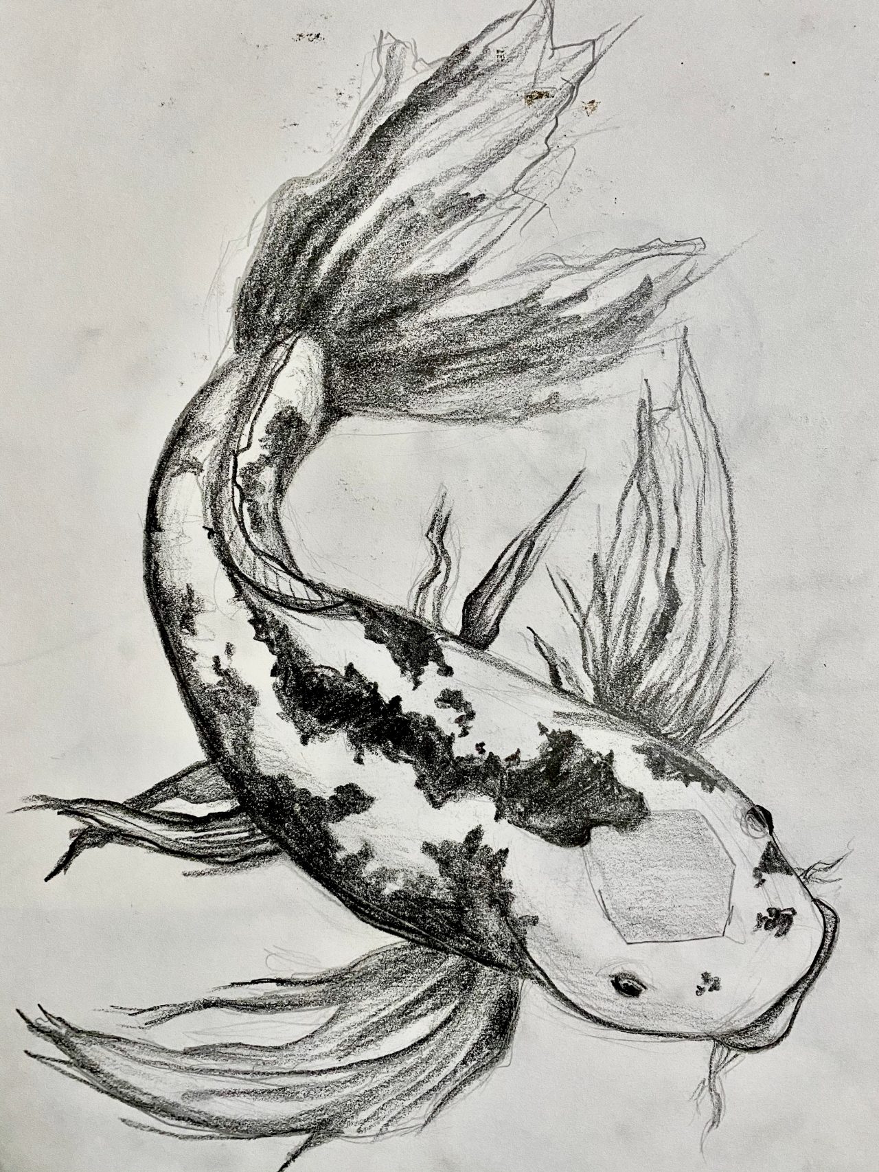 Art-Piece-Kelly-Abramowitz-Koi.jpg