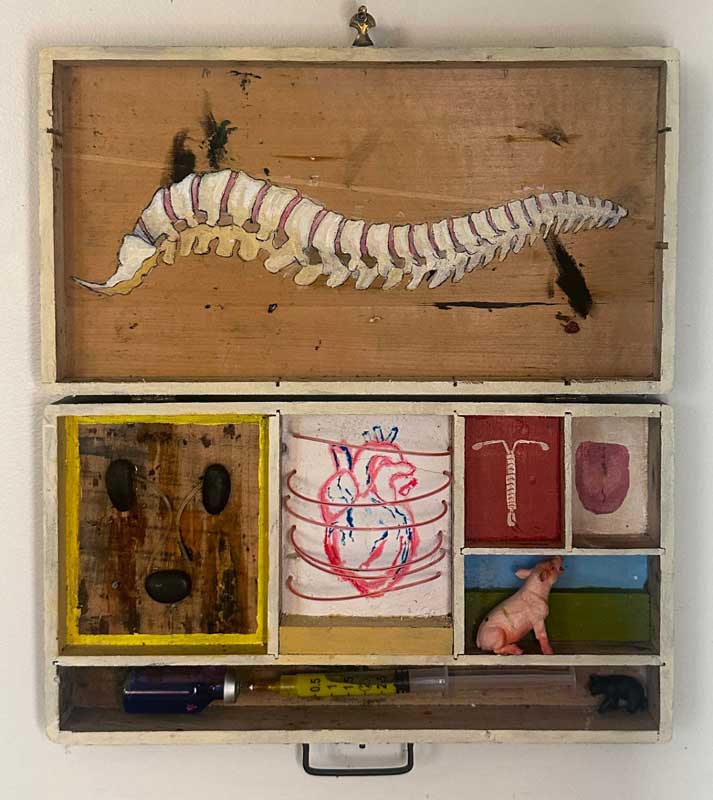 Medical Box