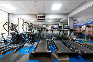 Orlowitz Gym 2