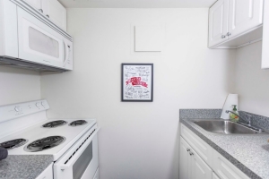  Orlowitz Kitchen