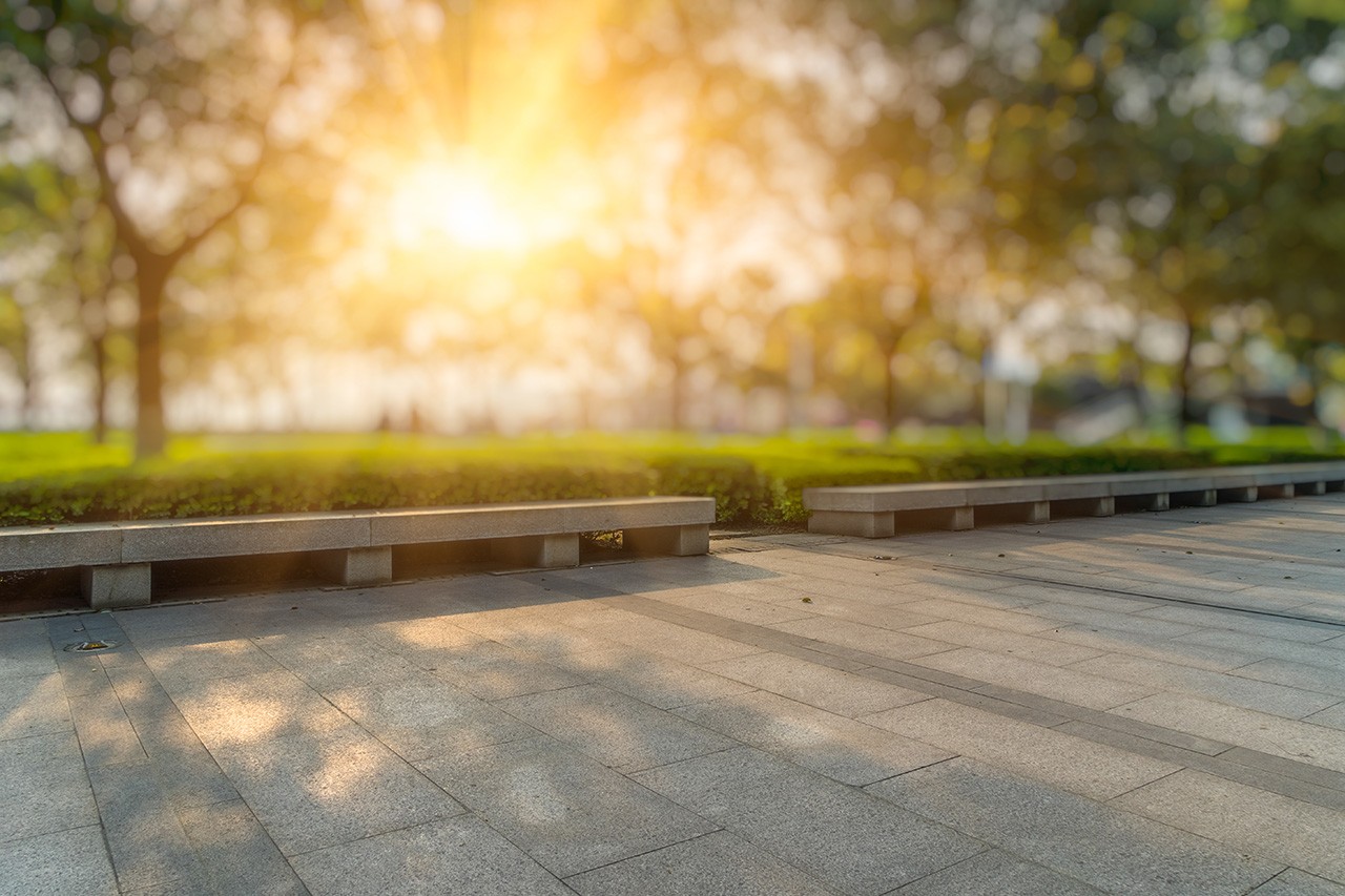 City, Public Park, Flowerbed, Ornamental Garden, Cityscape