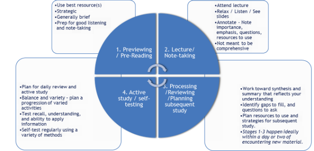 Study Cycle Stages