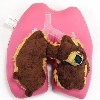 Dominic Quagliozzi, Co-Parenting, 2024, therapeutic thoracic pillow, teddy bear, medicine packaging, polycotton fill, thread, 17 inches x 15 inches